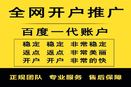 SEM推广实战：成功案例解读与策略调整